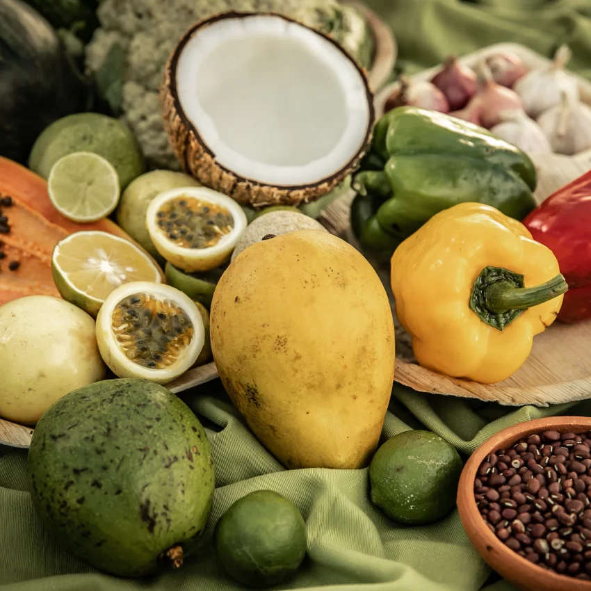 ayurveda-botanischer-garten-3